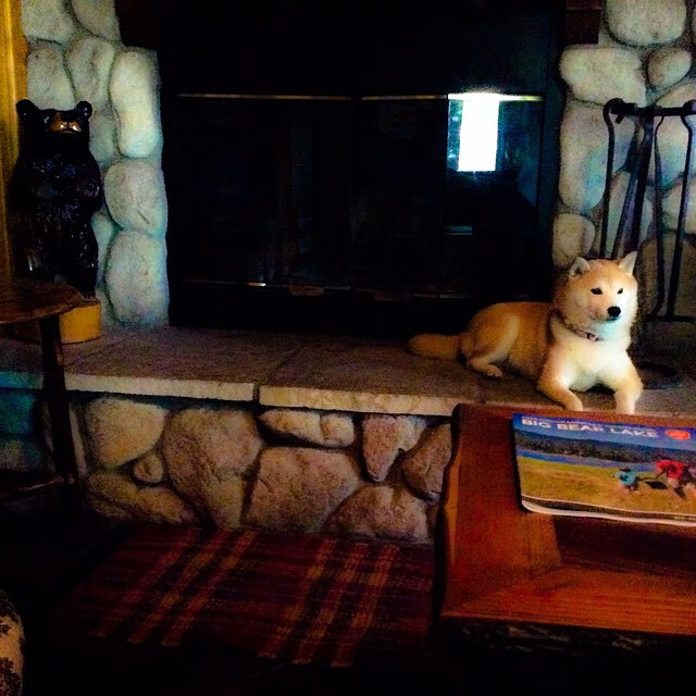 中国篮球协会发布新赛季比赛规程,中国篮球协会发布新赛季比赛规程是什么