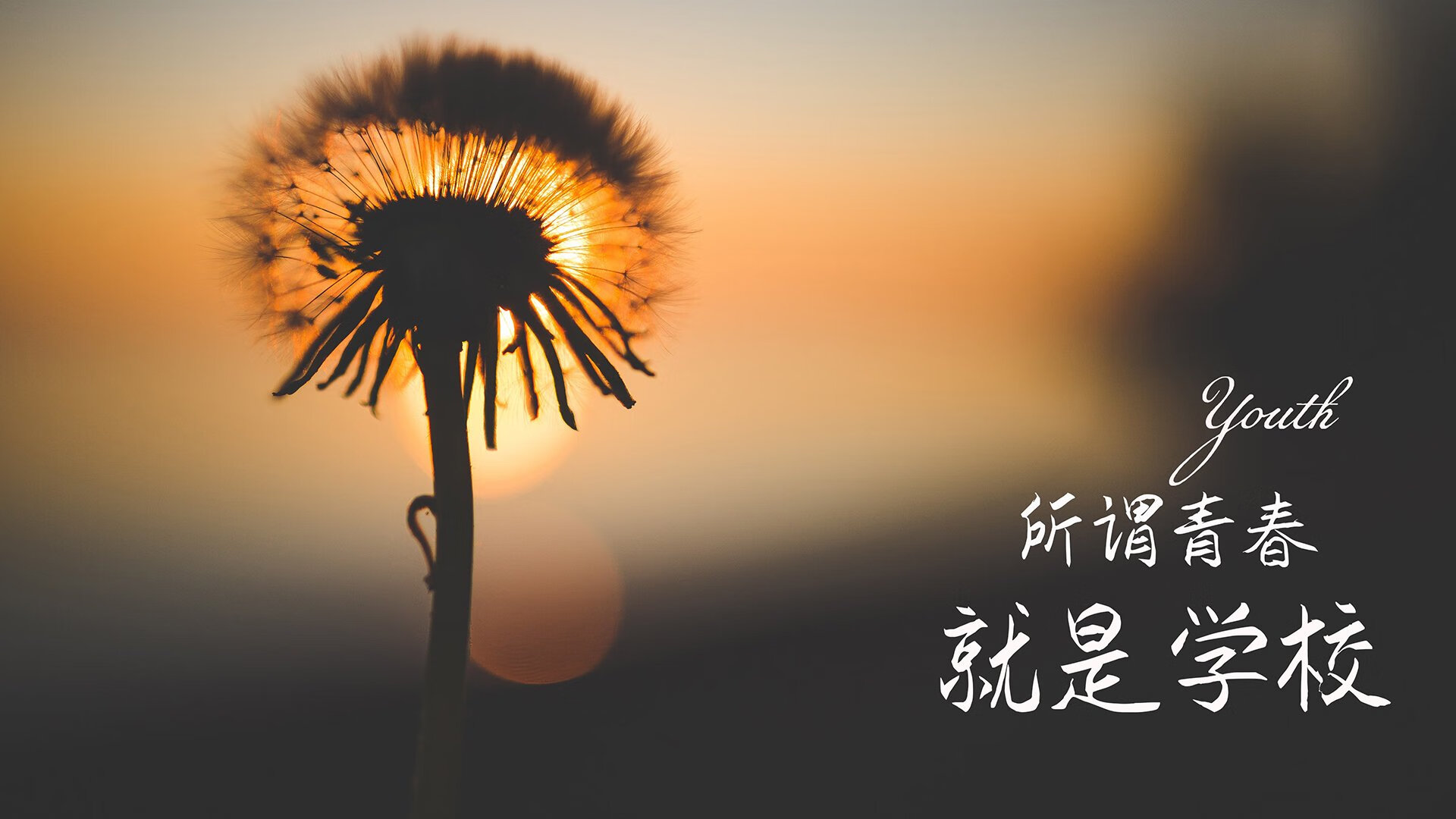 米尔沃尔反击精准，狮子军团全力抢分，米尔沃尔球迷