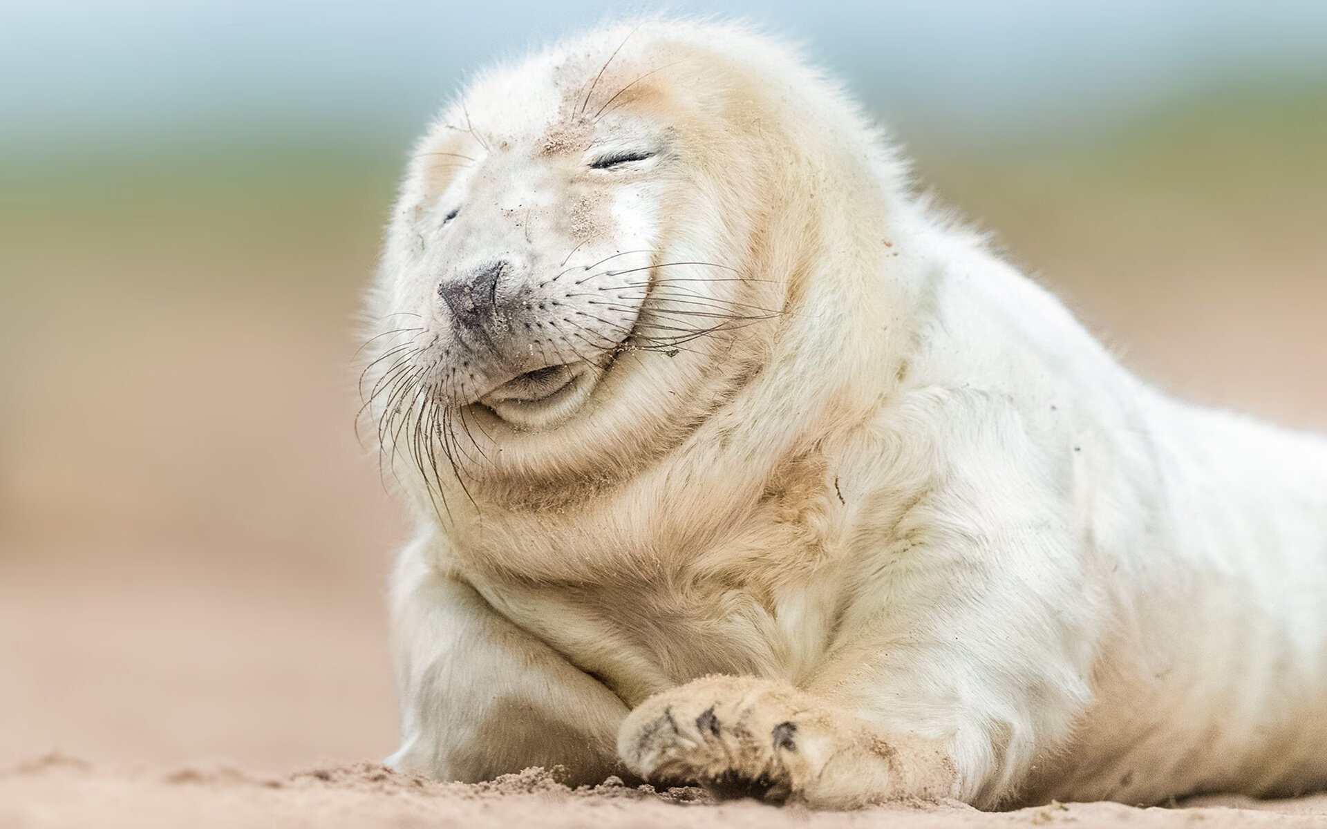 爱游戏电竞官网-CBA联盟借助科技提升比赛公平性和透明度，cba联赛竞赛方案