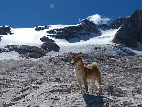 爱游戏综合娱乐-冬奥集训营正式进入冲刺阶段，冬奥训练