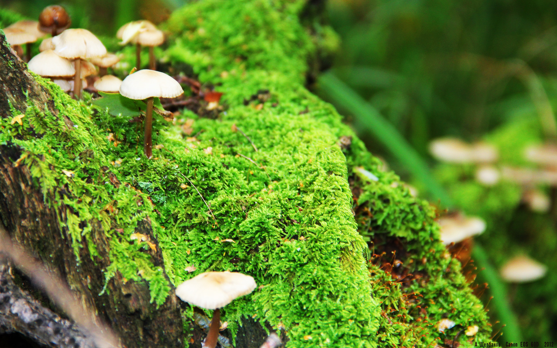 冬奥集训营正式进入冲刺阶段，冬奥训练