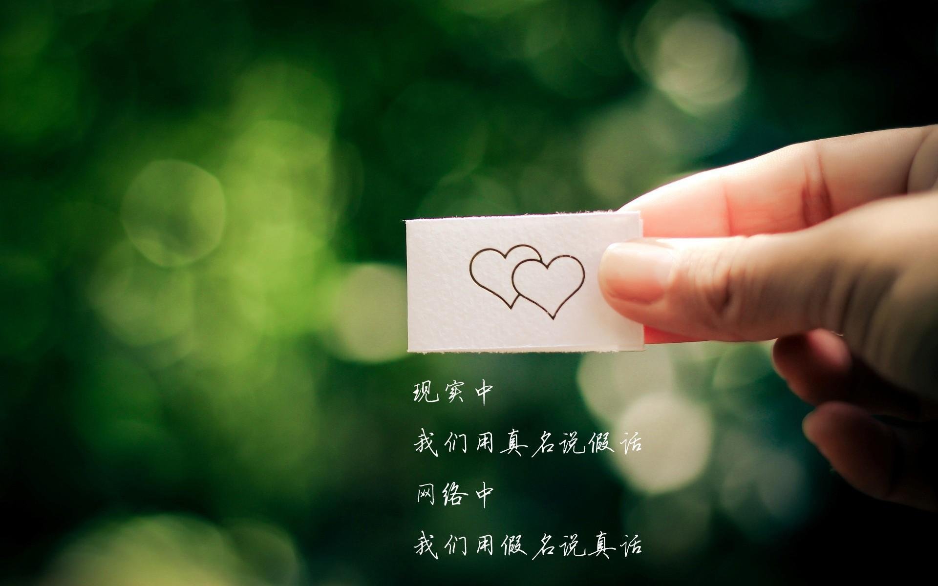 德国乒乓球选手状态回升,重返顶级赛事,德国乒乓球参赛名单