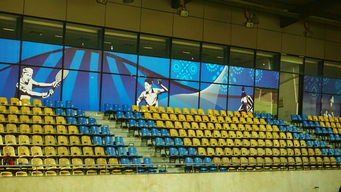 爱游戏娱乐-澳大利亚队未来如何利用青训体系打造新一代乒乓巨星，澳大利亚乒乓球