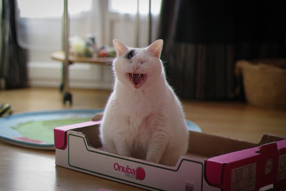 爱游戏娱乐-职业联赛球队转会体系混乱，足球联赛转会