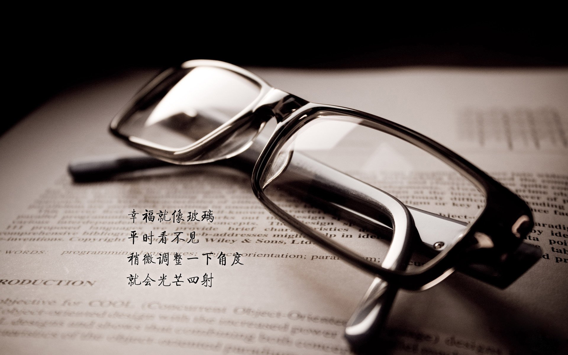 塞尔维亚男篮在欧洲锦标赛中强势夺冠,开启新篇章,塞尔维亚男篮冠军