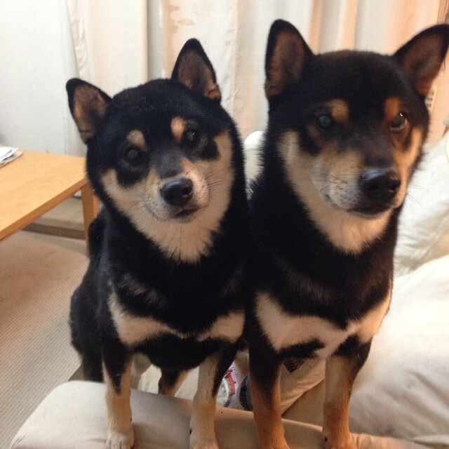 爱游戏体育app-张雨霏参演纪录片讲述泳池故事，张雨霏泳状照