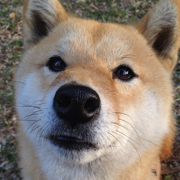 爱游戏体育APP下载-朱婷面对质疑表示更愿用表现回应，朱婷已经尽力