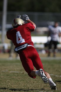 爱游戏ayx-五大联赛争四阶段关键球员贡献值差异对比，五大联赛引援